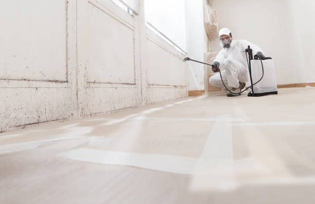 Black mold remediation team in Mercersburg